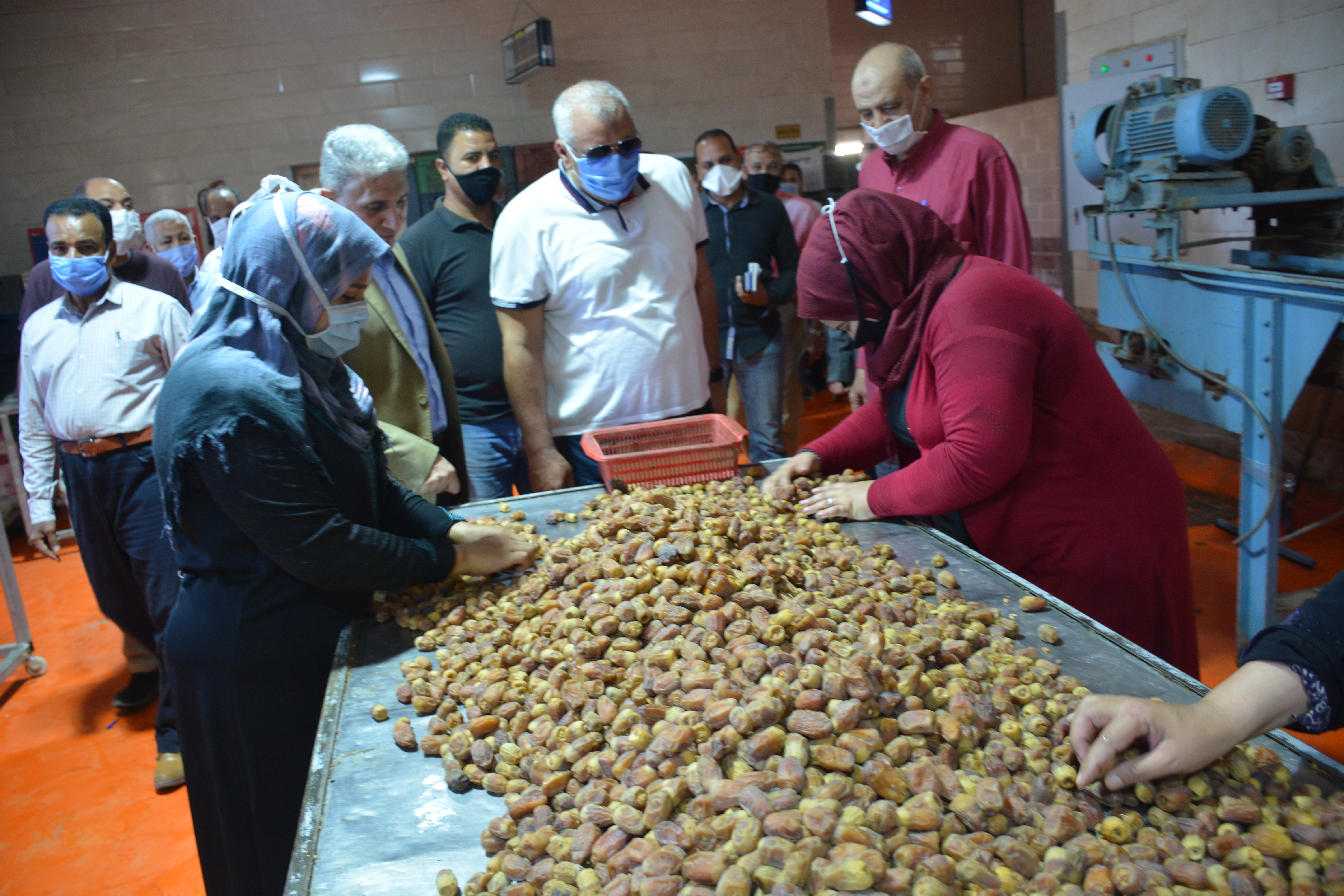 مصنع البلح2.jpg